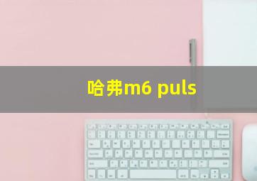 哈弗m6 puls